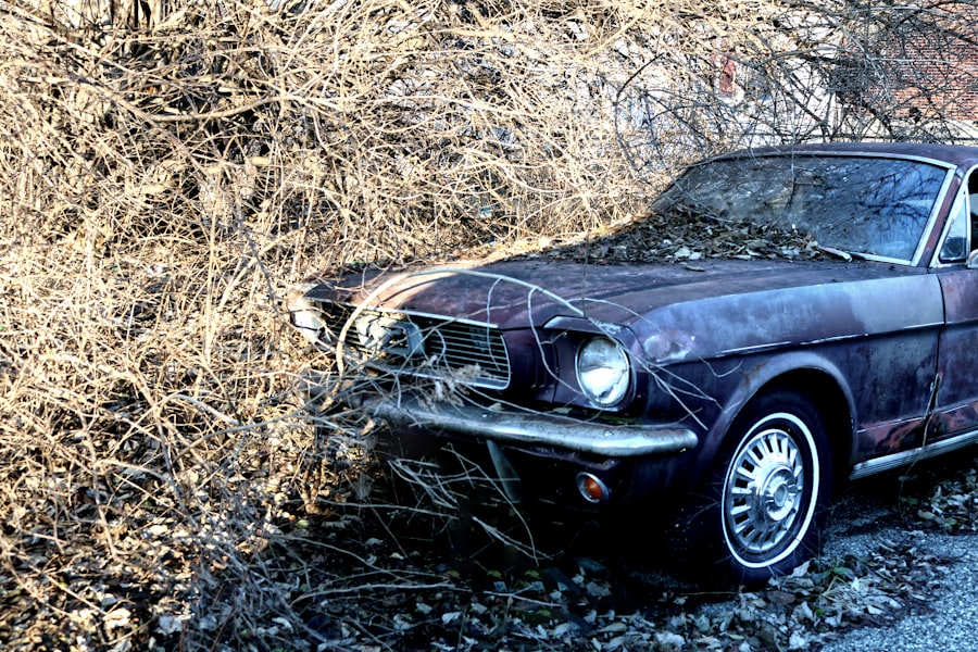 Auto Insurance Chandler Az