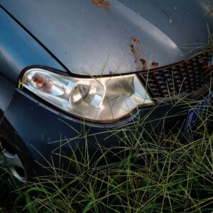 Photo Auto Insurer